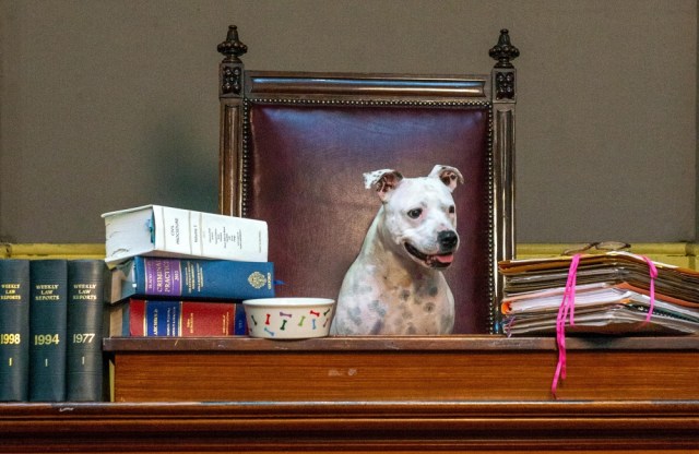 fourlegs_hero_1000_650_s_c1_c_c