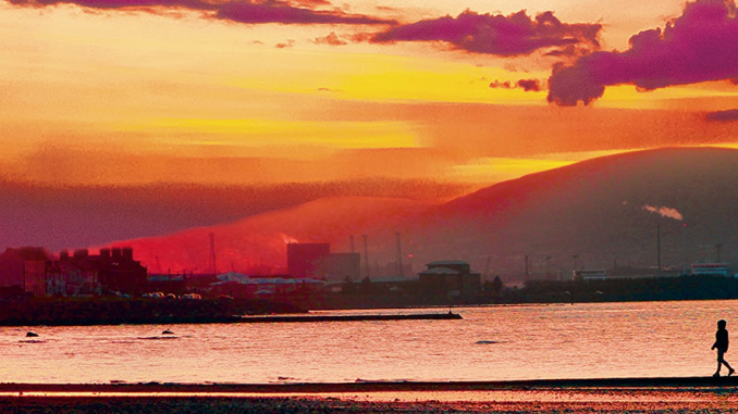 milkman_featured2-678x381